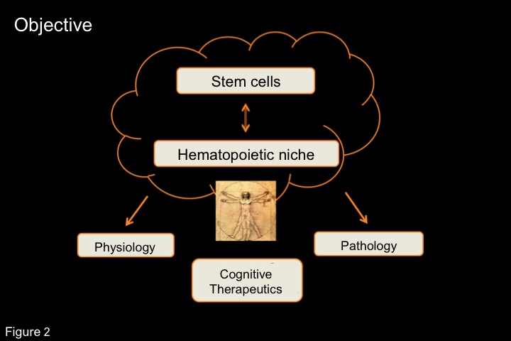 fig2 objective