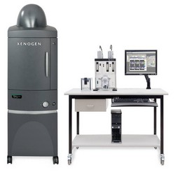 ivis spectrum in vivo imaging system250pxls